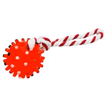 Spiked Ball with Rope Toy for Dogs 28cm - buy, prices for - photo 4