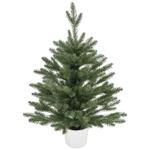 Ялинка Actuel в горщику 60 см