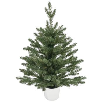 Ялинка Actuel в горщику 60 см - купити, ціни на Auchan - фото 1