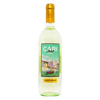 Вино Cari Saluti Pinot Grigio біле сухе 11,5% 0,75л - купити, ціни на AlcoHub - фото 1