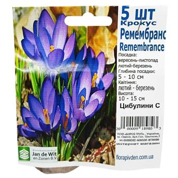 Onion C - buy, prices for - photo 3