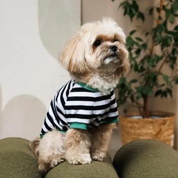Футболка для собак Pet Fashion Breeze р.S бело-черный - купить, цены на MasterZoo - фото 3