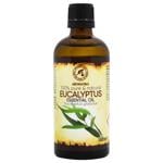 Essential Aromatika eucalyptus 100ml Ukraine