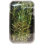 Rosemary 50g