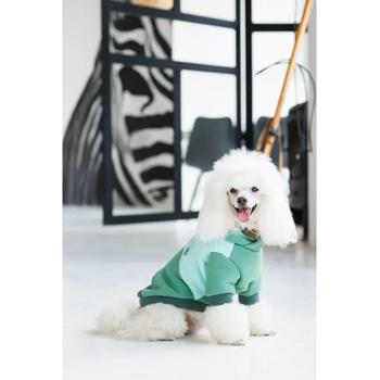 Pet fashion Ukraine - buy, prices for MasterZoo - photo 6