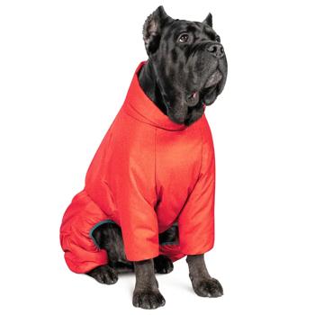 Pet Fashion Cold Raincoat for Dogs s.S Red - buy, prices for MasterZoo - photo 2