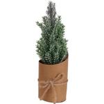 Pine tree Koopman China