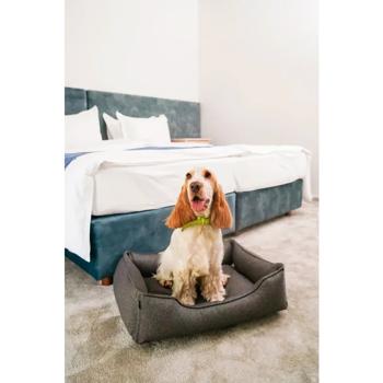 Harley and Cho Dreamer Gray Pet Bed 70x50cm - buy, prices for MasterZoo - photo 5