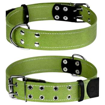 Ошейник для собак Collar брезентовый XL 37-58см/25мм зеленый - купить, цены на MasterZoo - фото 1