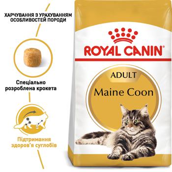 Корм сухий Royal Canin з домашньою птицею для дорослих котів породи мейн-кун 10кг - купити, ціни на MasterZoo - фото 2