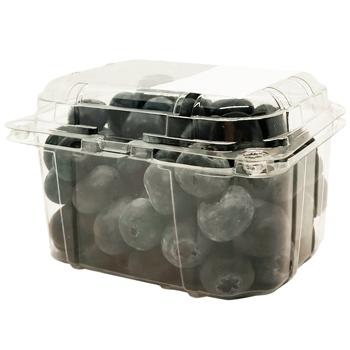 Blueberry Spain - buy, prices for Vostorg - photo 1