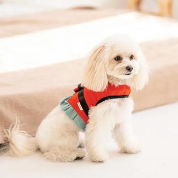 Pet Fashion Monika шлея для собак XS - купити, ціни на MasterZoo - фото 4