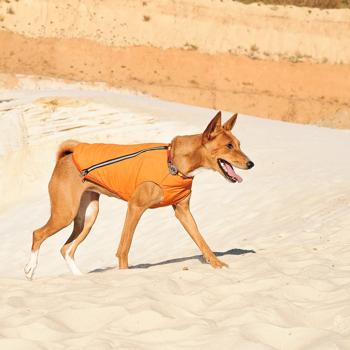 Pet Fashion E.Vest Vest for Dogs s.S Orange - buy, prices for - photo 8