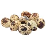 Яйця перепелині 20шт