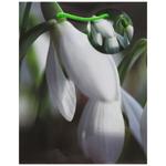 Art Studio of Happines GB-24127 Gift Bag 18х23х10cm