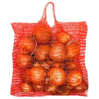 Onions in Mesh 2.5kg - buy, prices for METRO - photo 1