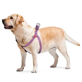 Waudog Re-cotton Reflective Harness for Dogs with QR-Passport 40-55cm / 15mm Purple - buy, prices for MasterZoo - photo 2