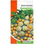 Yaskrava Amarilia Vegetable Physalis Seeds 0.3g