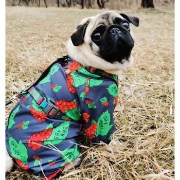 Waudog Clothes Raincoat for Dogs s.S30 with Guelder Rose Design - buy, prices for MasterZoo - photo 6