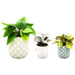 ШТУЧНА РОСЛИНА В КЕРАМ ГОРЩ 9Х