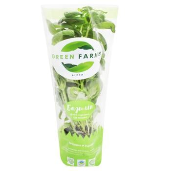 Базилік Green Farms зелений з коренем у торфі, шт