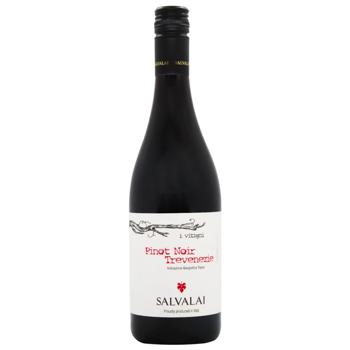 Вино Salvalai Pinot Noir del Venezie IGT красное сухое 12,5% 0,75л