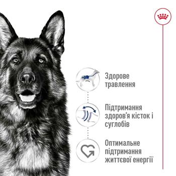 Royal Canin Maxi Adult Dry Food with Poultry for Dogs of Large Breeds 12kg - buy, prices for MasterZoo - photo 3