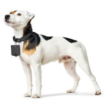 Collar Hunter - buy, prices for MasterZoo - photo 3
