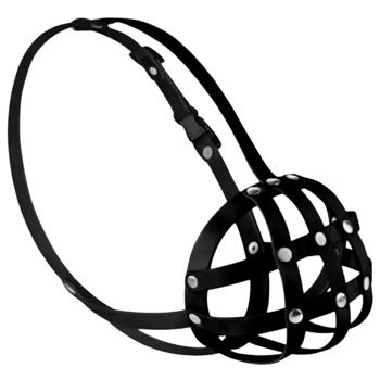 Dog muzzle Barksi Ukraine - buy, prices for MasterZoo - photo 5