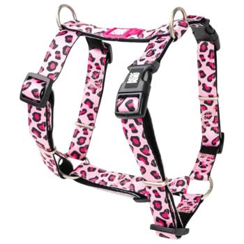 Leash Max and molly Germany - buy, prices for MasterZoo - photo 1