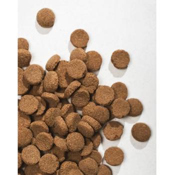 Half&Half Dry Food with Beef for Adult Dogs of Large Breeds 12kg - buy, prices for MasterZoo - photo 3