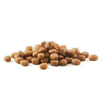 Purina One Turkey Dry For Cats Food - buy, prices for COSMOS - photo 6