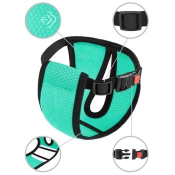 Barksi Mesh труси гігієнічні для собак XS 25-32 см - ментоловий - купить, цены на MasterZoo - фото 1