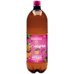 Kulturna Kombucha Wild Berries Drink 0.5l