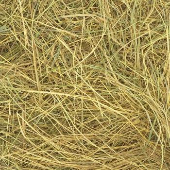 Мій Пухнастик пресоване сіно для гризунів 1 кг - купить, цены на MasterZoo - фото 2