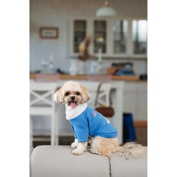 Товстівка для собак Pet Fashion Tinsel М - купить, цены на MasterZoo - фото 8