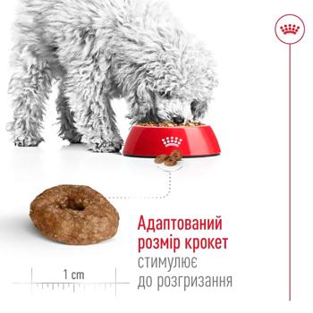 Корм сухий Royal Canin Mini Ageing 12+ для літніх собак 800г - купити, ціни на MasterZoo - фото 4