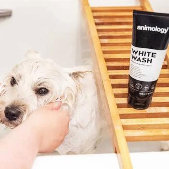 Shampoo Animology 250ml United kingdom - buy, prices for MasterZoo - photo 5
