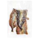 Рыба путассу