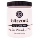 Blizzard Regular Plombir Ice Cream 500ml