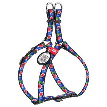 Waudog Fig Nylon Harness with Leash for Cats and Small Dog Breeds with QR Passport XS
