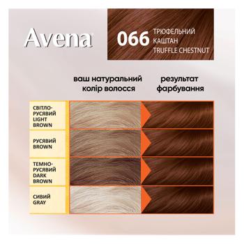 Крем-краска для волос устойчивая AVENA Shine Color 066 Трюфельный каштан - купить, цены на Таврия В - фото 4