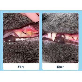 Лакомство для кошек ProDen PlaqueOff Dental Bites с овощами для ухода за полостью рта 60г - купить, цены на - фото 5