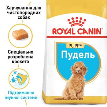 Cухий корм для цуценят Royal Canin Poodle Puppy 500 г - купити, ціни на MasterZoo - фото 2