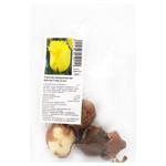 Tulip Crystal Star Bulbs 3pcs