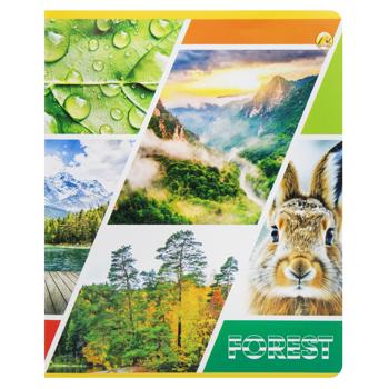 Tetrada Lined Notebook with Cardboard Cover 48 sheets - buy, prices for - photo 8