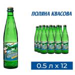 Polyana Kvasova Strongly Carbonated Mineral Water 0.5l