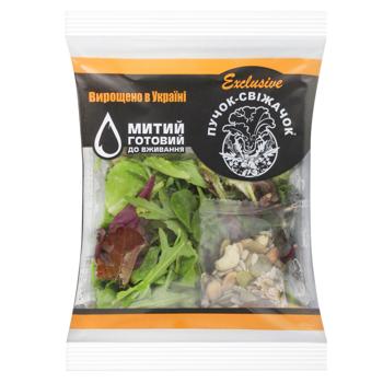 Puchok-Svizhachok Nut Mix Lettuce 100g - buy, prices for - photo 1