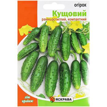 Yaskrava Bush Cucumber Seeds in Giant Package 5g - buy, prices for - photo 1