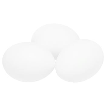 Яйцо куриное С1 1шт - купить, цены на Чудо Маркет - фото 1